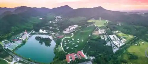 奇幻森林风系阵容搭配图(永恒之森阵容搭配)插图14