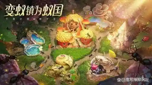 黑甲弓背蚁阵容搭配(黑童子pve阵容搭配)