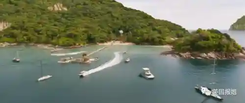 深海巨兽阵容最新搭配图片(深海王阵容平民搭配)插图9