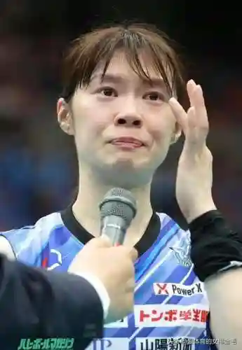 翻斗花园王者阵容怎么搭配(新版本6斗士双枪阵容)插图4