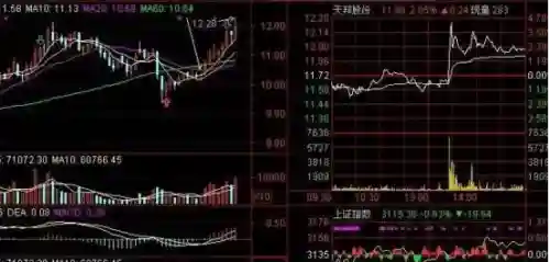 王者荣耀下棋互补阵容搭配(王者荣耀下棋最新版本最强阵容)插图5