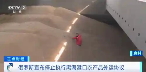 俄罗斯决定停止(北约：不能允许俄罗斯战胜乌)插图1