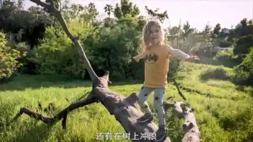 悲惨世界阵容搭配图(西方世界的劫难5英雄强度排名)插图30