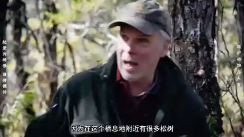 森林狩猎手游阵容搭配(阴阳寮狩猎战单人阵容)插图3