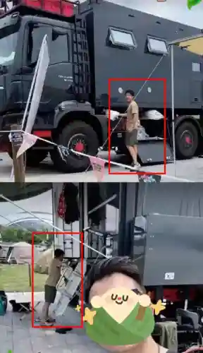 豪华露营阵容搭配推荐最新(密林纷争最强阵容搭配)插图11
