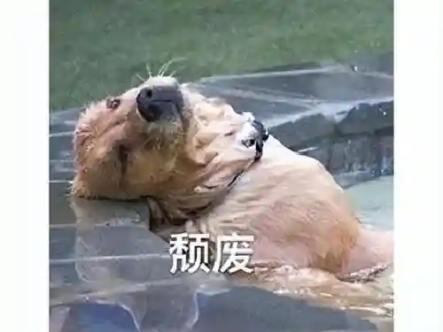 剑灵辅助工具(剑侠传奇脚本辅助)插图6