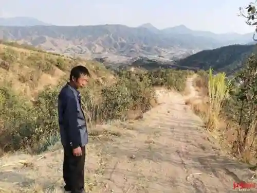 开荒草队搭配什么阵容(三国志战略版开荒队伍)插图4