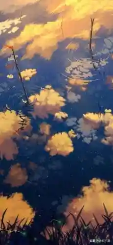 壁纸高清全屏大全(壁纸推荐排行榜)插图32