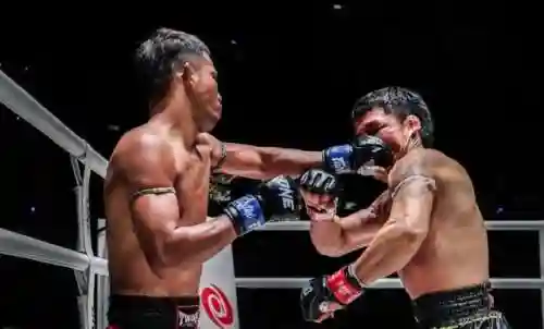 武士格斗竞技场阵容搭配(暗黑武术会各队阵容)插图1 武士格斗竞技场阵容搭配(暗黑武术会各队阵容)插图1