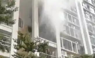新版月光宝盒2023新密码多少(新月直播大全免费下载手机版苹果)插图4