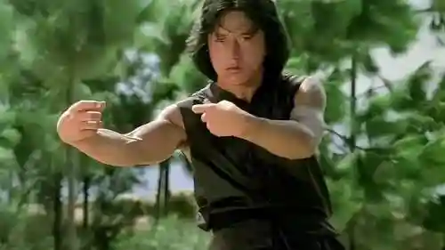 武林小子最佳搭配阵容推荐(少侠江湖志最强阵容)插图31