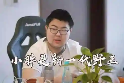 最强中边野阵容搭配(中野双排上分最快组合)插图2