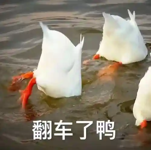 角哥面具阵容怎么搭配(摄魂使狗头阵容搭配)插图5