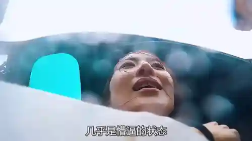 荒野求生全明星搭配阵容(荒岛求生中哪个伙伴最强)