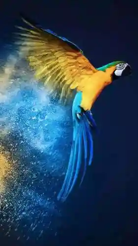 好看的高清图片(免费大自然风景图片)插图34