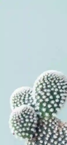 壁纸2023最新壁纸(屏幕图片壁纸)插图24
