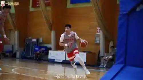 男篮拉练阵容搭配图片高清(中职篮全力以赴阵容推荐)插图11