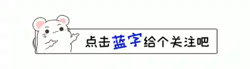 巅峰绿军阵容搭配最新攻略(王者军团最强阵容搭配)