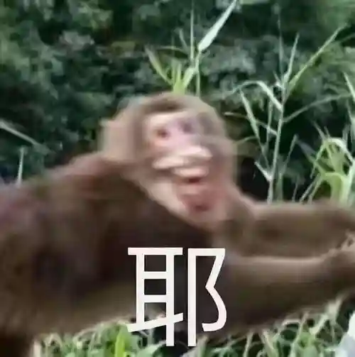 斗战神念西游礼包(斗战神从0到80要花多少钱)插图1