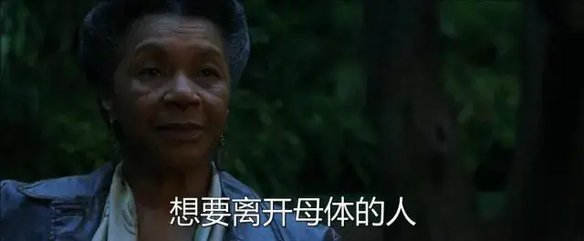 黑客帝国深度解析(黑客帝国隐喻现实生活吗)插图35