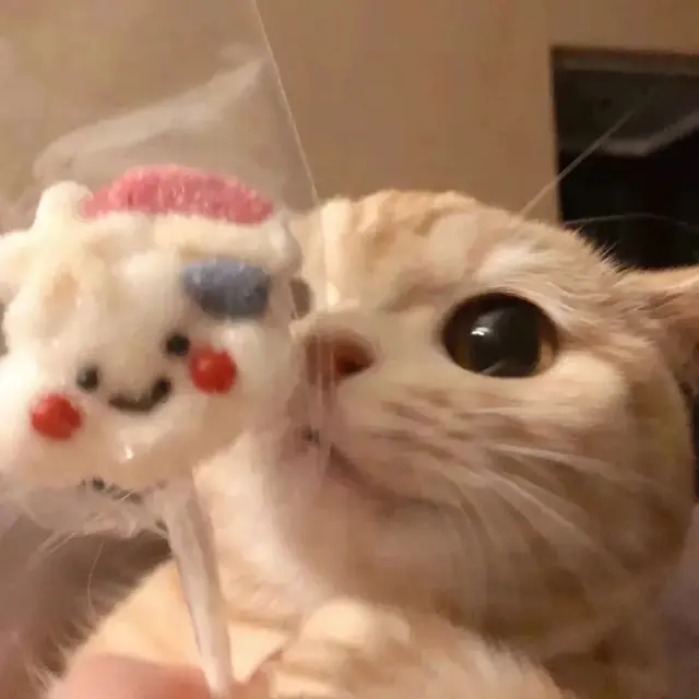 猫咪吃鸡阵容搭配图片(吃鸡抽猫咪套装皮肤)插图9
