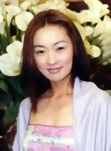 怀玉传奇游戏推荐阵容搭配(三国英雄传奇阵容)