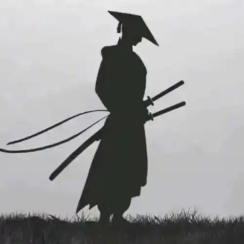 武学天赋系统(主角有武学系统的小说)插图2