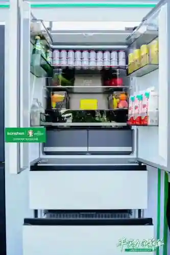 冰箱什么品牌最好排名前十名(国产冰箱十大品牌排行榜)插图5