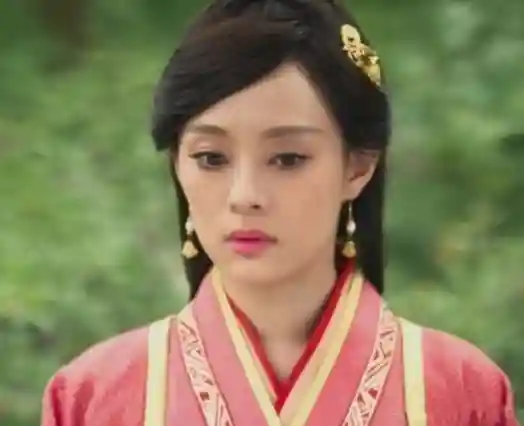 历史上的芈八子野史(芈八子晚年有多少男宠)插图1