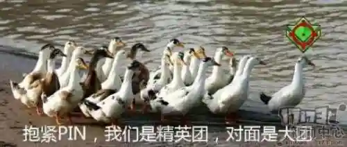 巨龙双排阵容搭配推荐(卧龙无敌后期阵容搭配)插图9 巨龙双排阵容搭配推荐(卧龙无敌后期阵容搭配)插图9