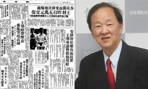 秦剑怎么搭配阵容最好用(七杀剑最佳搭配阵容)