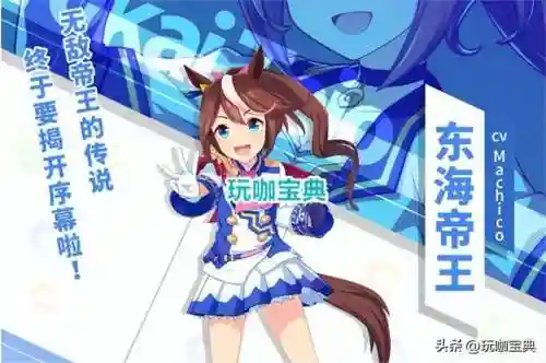 赛马娘国服阵容搭配(赛马娘 全角色)