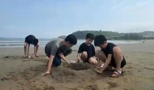 岛屿探秘阵容搭配推荐攻略(放置海岛阵容推荐)插图9