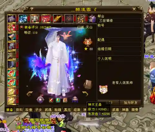 武林闲侠凌云阵容装备搭配(剑侠风云排位赛最强阵容)插图6