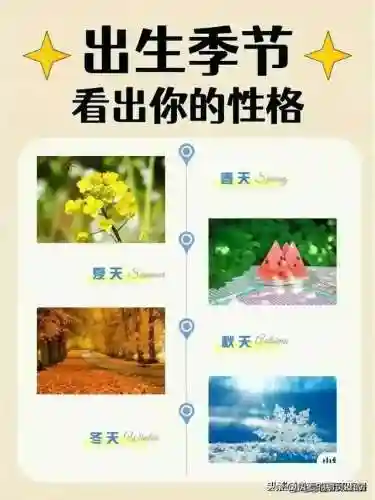 最佳好友阵容搭配图表高清(最佳阵容下载)插图8