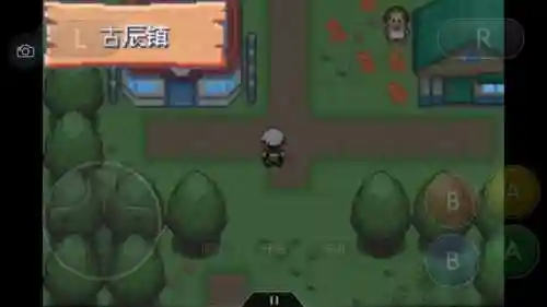 神奇宝贝究极绿宝石攻略(神奇宝贝第一部免费)插图103