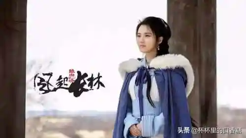 宫廷斗篷搭配阵容推荐女(宫廷计后期尚药最强阵容)插图12