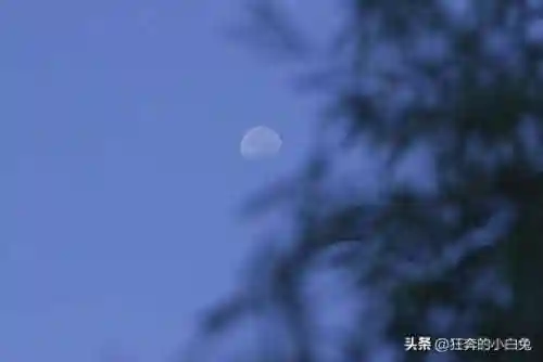 守护者之剑小说(守护者小说免费阅读)