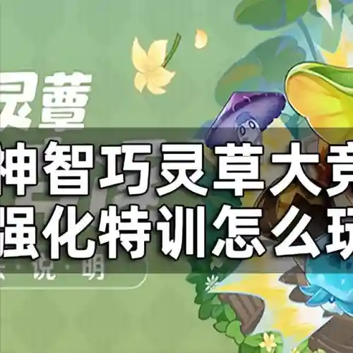 原神强化特训阵容搭配攻略(原神十大平民最强阵容)
