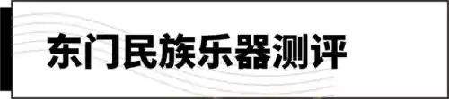 十大最难学的乐器(什么乐器可以参加艺考)插图5