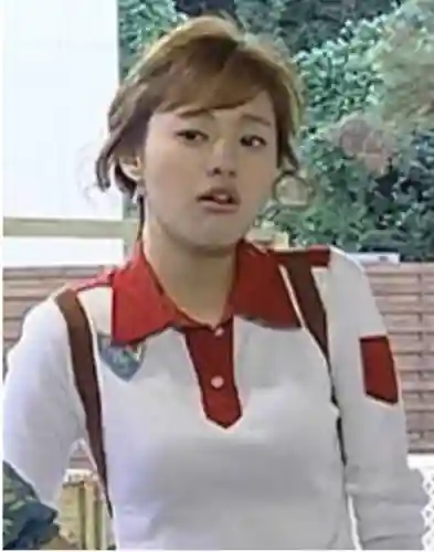 浪漫满屋明星阵容搭配表(明星阵容最强大的一部电影)插图11