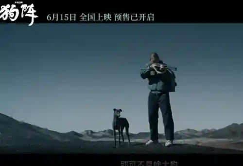 动物之战不同阵容搭配图(动物大联盟伤害最高搭配)