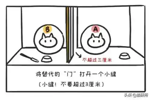 猫咪打架厉害的阵容搭配(一刀传世打架厉害的职业搭配)插图5