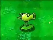 植物大战僵尸最老经典版(最老版植物大战僵尸)插图44