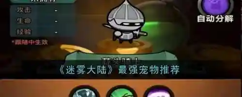 洛克王国迷雾之森稀有宠物(洛克王国现在能抓的稀有宠物有哪些)