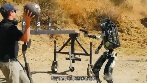 金鹰战士阵容搭配攻略(全民战鹰最强阵容)插图3