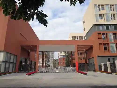 百树之王阵容搭配最新(塔王之王2阵容搭配推荐)