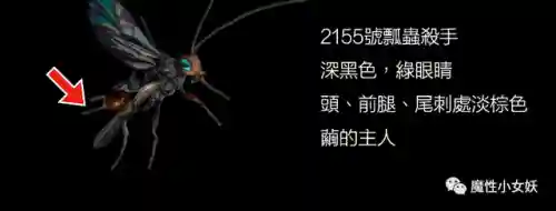 僵尸傀儡怎么做(我的世界怎么召唤僵尸傀儡)插图5