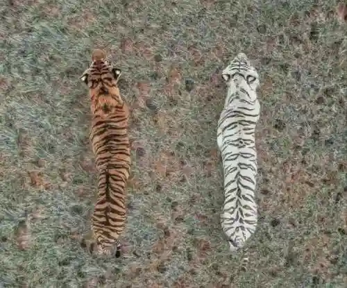 猜图片带答案大全(看图猜成语扫一扫图)插图12