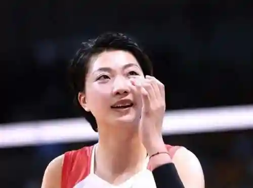美国女排搭配阵容图表最新(中国女排最强阵容名单)插图11